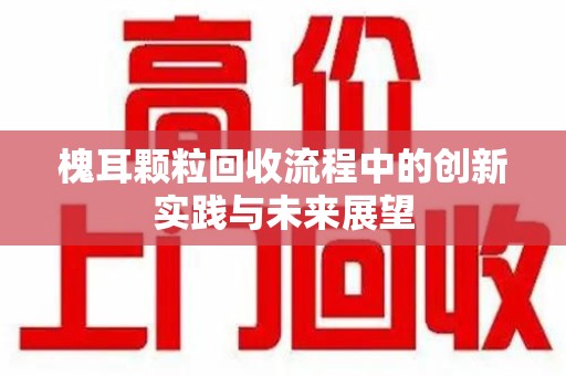 宁德槐耳颗粒回收流程中的创新实践与未来展望