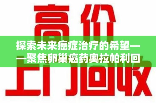 宁德探索未来癌症治疗的希望——聚焦卵巢癌药奥拉帕利回收与精准医疗