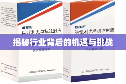 宁德揭秘行业背后的机遇与挑战