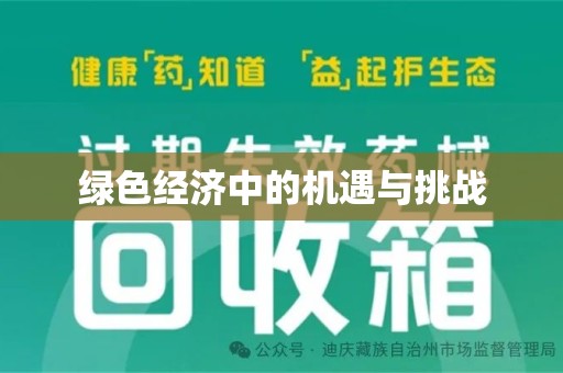 宁德绿色经济中的机遇与挑战