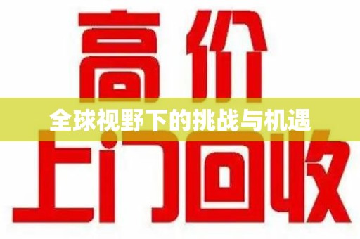 宁德全球视野下的挑战与机遇