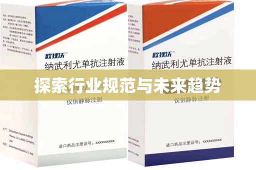 宁德探索行业规范与未来趋势