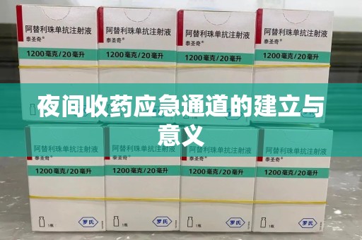 宁德夜间收药应急通道的建立与意义