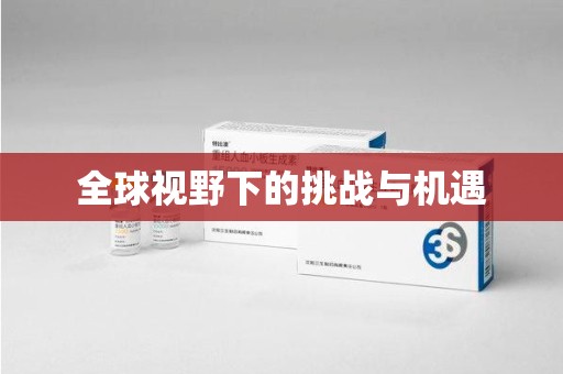 宁德全球视野下的挑战与机遇