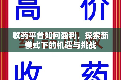 宁德收药平台如何盈利，探索新模式下的机遇与挑战